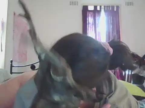 Snapshot of ellieXXXbaby chatting on December 14, 2024, 12:55 am ellieXXXbaby online show from December 14, 2024, 12:55 am