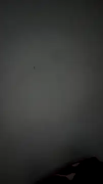 Briana Wells  online show from April 14, 2026, 2:49 am