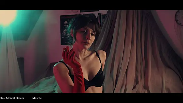 Snapshot of WebCora chatting on January 18, 2026, 6:33 pm WebCora online show from January 18, 2026, 6:33 pm