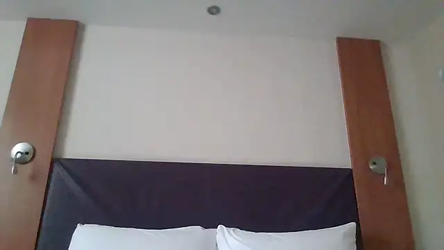 Snapshot of Allys chatting on February 14, 2025, 11:53 am Allys online show from February 14, 2025, 11:53 am