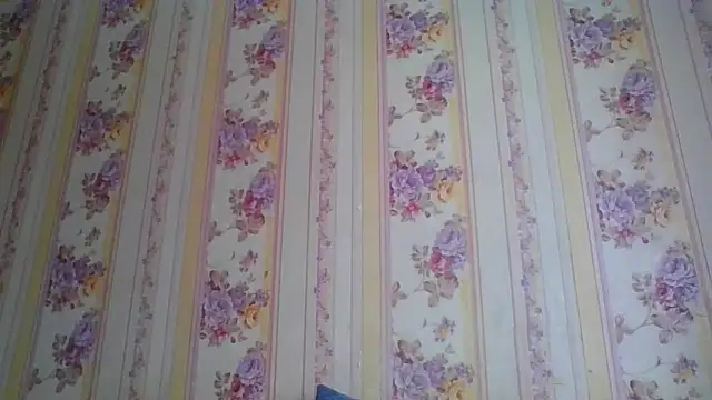 Snapshot of Skills_ chatting on December 5, 2024, 5:21 am Skills online show from December 5, 2024, 5:21 am