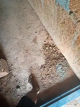 Snapshot of Mallupaiyanaachu chatting on February 3, 2026, 5:05 am Mallupaiyanaachu online show from February 3, 2026, 5:05 am