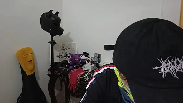 Snapshot of AcidMilo chatting on February 6, 2025, 10:32 pm AcidMilo online show from February 6, 2025, 10:32 pm