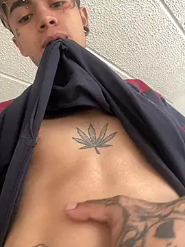 Snapshot of AcidMilo chatting on February 22, 2025, 12:51 pm AcidMilo online show from February 22, 2025, 12:51 pm