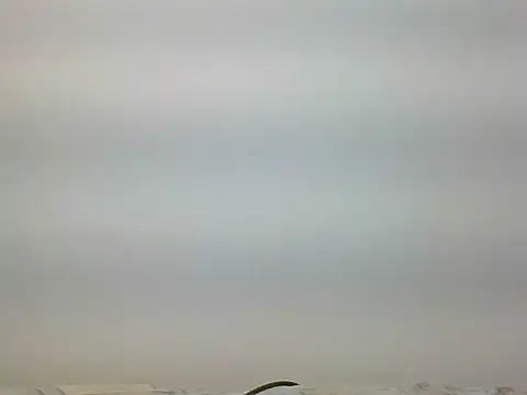 bigdickfuckuu online show from September 22, 2025, 12:44 pm