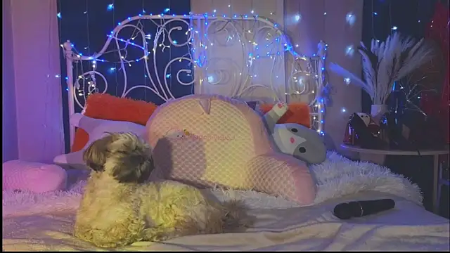 Funny Bunny online show from March 1, 2025, 2:26 am