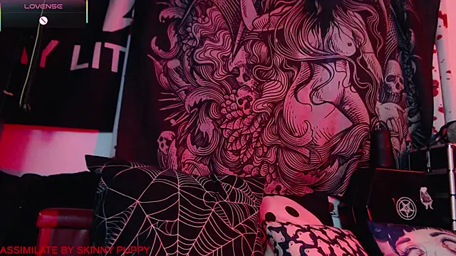 Silentmary online show from January 17, 2026, 2:53 pm