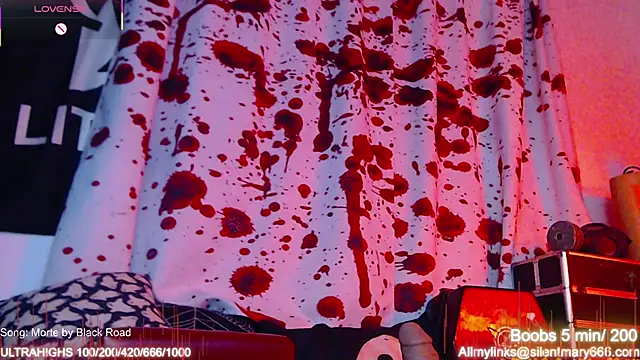 Snapshot of Silentmary chatting on November 15, 2025, 2:04 am Silentmary online show from November 15, 2025, 2:04 am