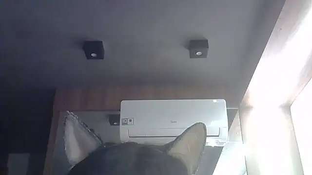 Snapshot of Skinny-Kitten chatting on May 28, 2026, 4:57 pm Skinny-Kitten online show from May 28, 2026, 4:57 pm