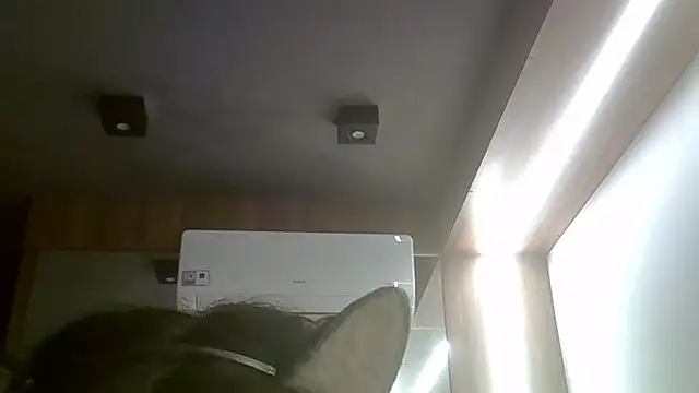Snapshot of Skinny-Kitten chatting on May 19, 2026, 2:24 pm Skinny-Kitten online show from May 19, 2026, 2:24 pm