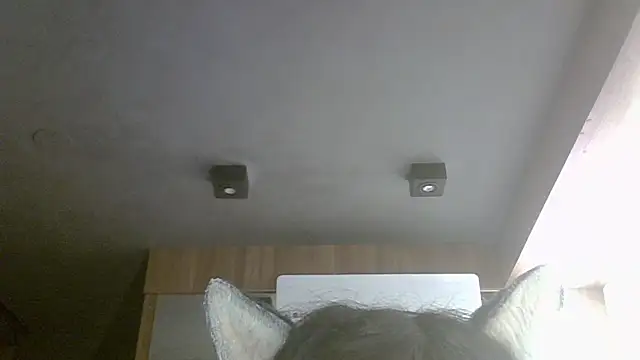 Snapshot of Skinny-Kitten chatting on May 14, 2026, 9:17 am Skinny-Kitten online show from May 14, 2026, 9:17 am