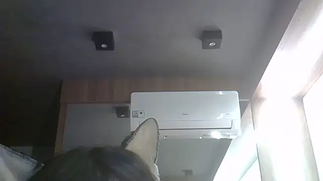 Snapshot of Skinny-Kitten chatting on May 30, 2026, 11:10 pm Skinny-Kitten online show from May 30, 2026, 11:10 pm