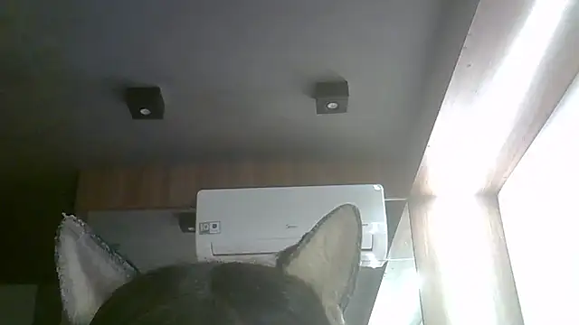 Snapshot of Skinny-Kitten chatting on May 4, 2026, 4:43 pm Skinny-Kitten online show from May 4, 2026, 4:43 pm