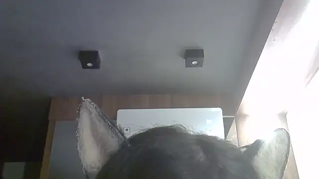 Snapshot of Skinny-Kitten chatting on April 9, 2026, 1:18 am Skinny-Kitten online show from April 9, 2026, 1:18 am