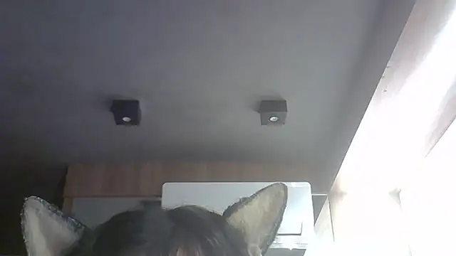 Snapshot of Skinny-Kitten chatting on March 30, 2026, 4:47 am Skinny-Kitten online show from March 30, 2026, 4:47 am