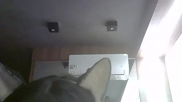 Snapshot of Skinny-Kitten chatting on May 26, 2026, 8:51 pm Skinny-Kitten online show from May 26, 2026, 8:51 pm