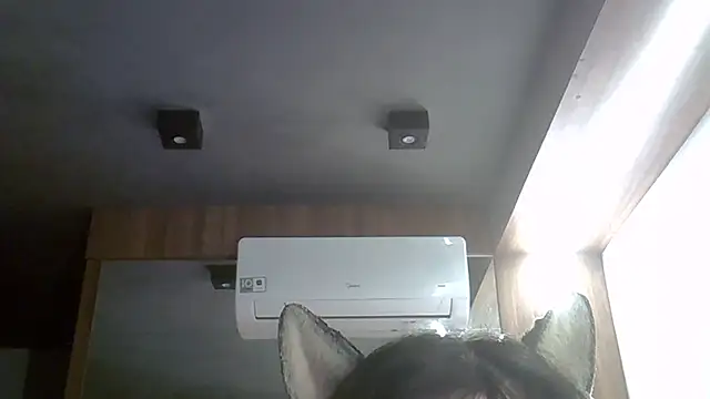 Snapshot of Skinny-Kitten chatting on April 3, 2026, 9:38 am Skinny-Kitten online show from April 3, 2026, 9:38 am