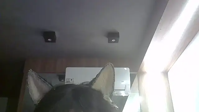 Snapshot of Skinny-Kitten chatting on May 22, 2026, 2:59 pm Skinny-Kitten online show from May 22, 2026, 2:59 pm