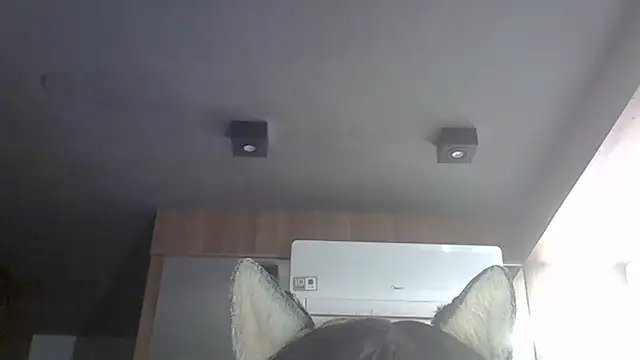 Snapshot of Skinny-Kitten chatting on May 18, 2026, 1:06 am Skinny-Kitten online show from May 18, 2026, 1:06 am