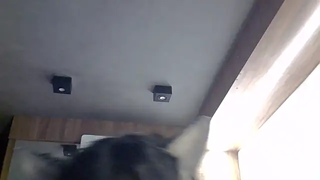 Snapshot of Skinny-Kitten chatting on March 30, 2026, 4:52 pm Skinny-Kitten online show from March 30, 2026, 4:52 pm