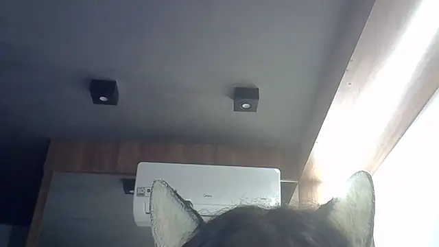 Snapshot of Skinny-Kitten chatting on April 8, 2026, 12:34 am Skinny-Kitten online show from April 8, 2026, 12:34 am