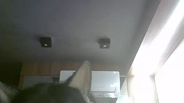 Snapshot of Skinny-Kitten chatting on May 17, 2026, 11:10 am Skinny-Kitten online show from May 17, 2026, 11:10 am