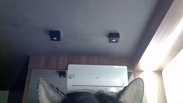 Snapshot of Skinny-Kitten chatting on May 20, 2026, 2:36 pm Skinny-Kitten online show from May 20, 2026, 2:36 pm