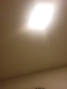 lofibunni online show from February 15, 2026, 3:29 am