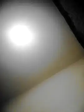 Snapshot of bestofyalcinturkey chatting on January 15, 2025, 5:05 pm bestofyalcinturkey online show from January 15, 2025, 5:05 pm