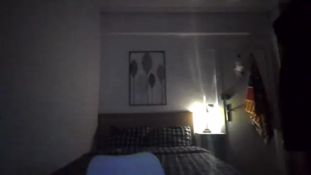 Snapshot of 99_GANAr chatting on December 22, 2025, 4:29 pm 99 GANAr online show from December 22, 2025, 4:29 pm