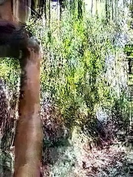 kushan Madu online show from March 15, 2026, 8:54 am