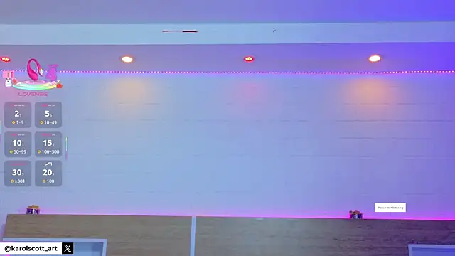 KAROL-SCOTT online show from January 13, 2026, 8:24 pm