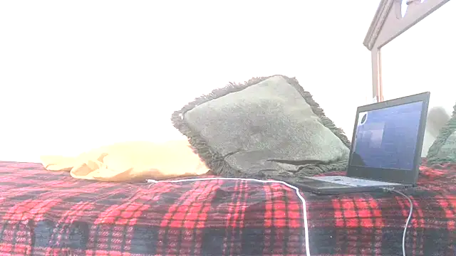 Snapshot of blkhereforall chatting on October 26, 2025, 9:26 pm blkhereforall online show from October 26, 2025, 9:26 pm