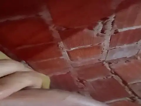 w31 online show from November 21, 2025, 12:53 am