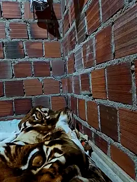 w31 online show from April 16, 2026, 2:45 am