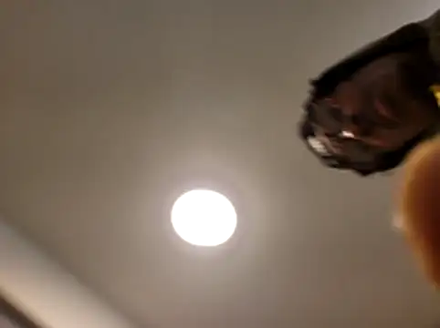 Snapshot of Z3US_UP_1 chatting on December 17, 2025, 1:21 am Z3US UP 1 online show from December 17, 2025, 1:21 am