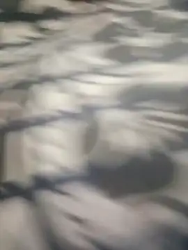 MariaGaitan online show from November 12, 2025, 7:07 pm