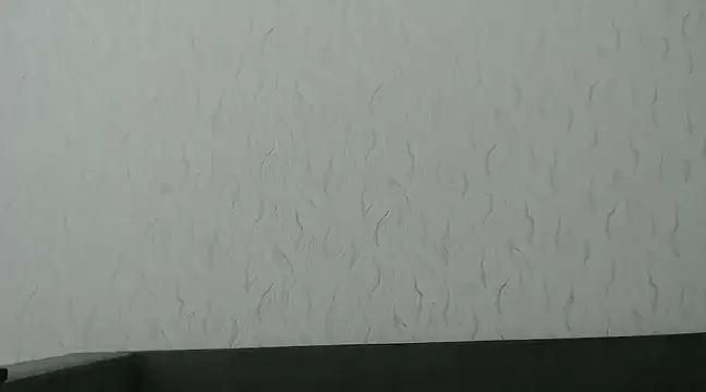 HoneyWiles online show from March 8, 2025, 12:41 pm