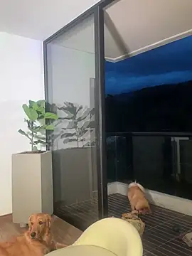 Snapshot of Helenbronwx chatting on December 22, 2024, 11:09 pm Helenbronwx online show from December 22, 2024, 11:09 pm