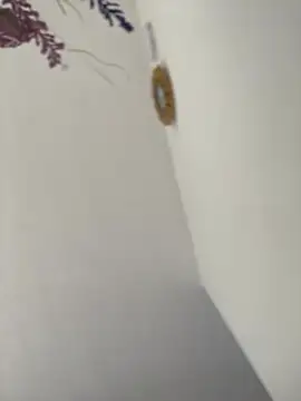 Snapshot of Alicia_Ruiz chatting on February 23, 2026, 6:08 pm Alicia Ruiz online show from February 23, 2026, 6:08 pm