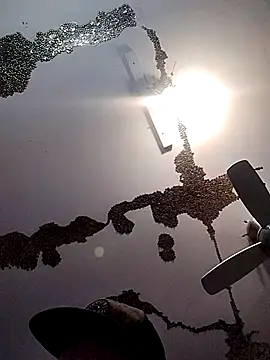 Snapshot of ColdVisitor chatting on March 21, 2025, 6:38 am ColdVisitor online show from March 21, 2025, 6:38 am