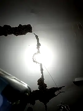 Snapshot of ColdVisitor chatting on February 6, 2026, 1:34 am ColdVisitor online show from February 6, 2026, 1:34 am