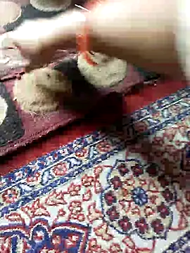 Snapshot of ohana143 chatting on March 17, 2025, 12:04 pm ohana143 online show from March 17, 2025, 12:04 pm