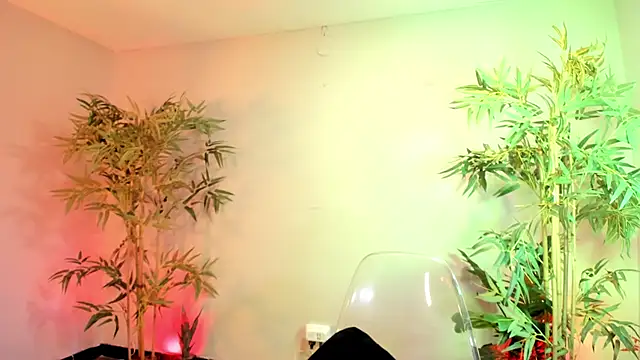  aish a  online show from December 17, 2025, 8:14 pm