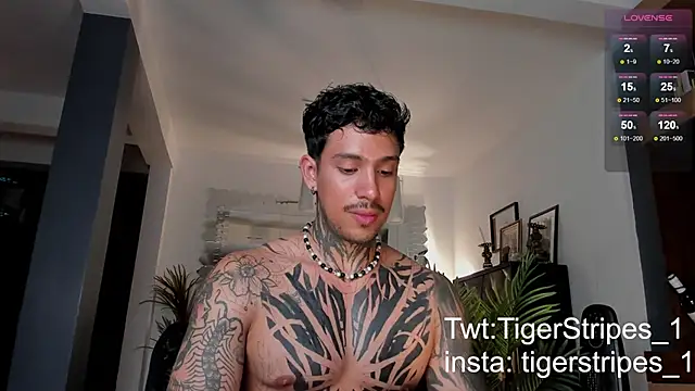 TigerStripes1  online show from February 28, 2025, 12:43 am