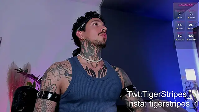 TigerStripes1  online show from March 19, 2025, 8:54 pm