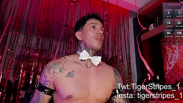 TigerStripes1  online show from February 15, 2025, 12:15 am