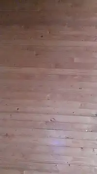 Snapshot of aliosa23 chatting on January 21, 2025, 11:35 am aliosa23 online show from January 21, 2025, 11:35 am