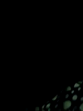 Kolkata   Boy online show from December 7, 2024, 6:32 pm